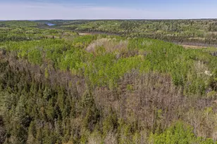 4304 Mud Creek Rd, Ely, MN 55731 - Photo 92