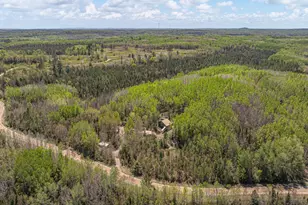 4304 Mud Creek Rd, Ely, MN 55731 - Photo 4