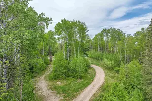 1152 Fernberg Rd, Ely, MN 55731 - Photo 22