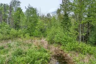 1152 Fernberg Rd, Ely, MN 55731 - Photo 16