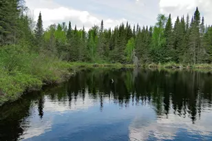48 Wolf Point Trail, Grand Marais, MN 55604 - Photo 8
