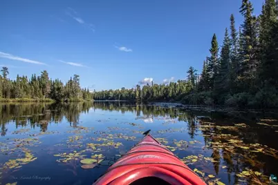48 Wolf Point Tr, Grand Marais, MN 55604 - Photo 48