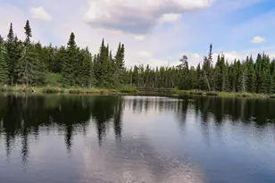 48 Wolf Point Trail, Grand Marais, MN 55604 - Photo 54