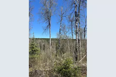 Xxx Moose Ridge Rd, Isabella, MN 55607 - Photo 12