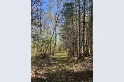 Xxx Moose Ridge Rd, Isabella, MN 55607 - Photo 10