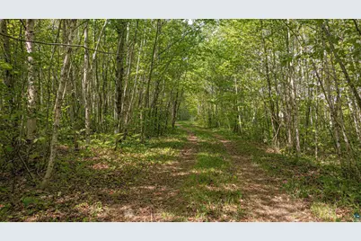 Tbd Muckwa Lake Rd, Babbitt, MN 55706 - Photo 54
