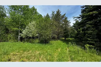 Tbd-B Hwy 169, Virginia, MN 55792 - Photo 12