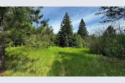 Tbd-B Hwy 169, Virginia, MN 55792 - Photo 8