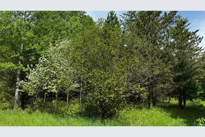 Tbd-B Hwy 169, Virginia, MN 55792 - Photo 10