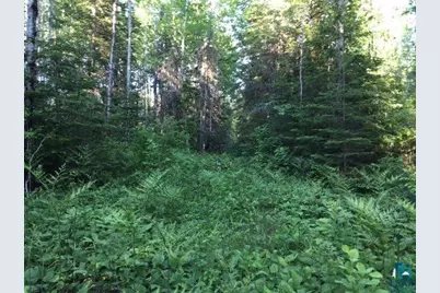1142 Camp 20 Rd, Hovland, MN 55606 - Photo 8