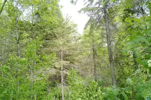 300 Caribou Trail, Lutsen, MN 55612 - Photo 50