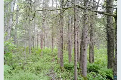 300 Caribou Tr, Lutsen, MN 55612 - Photo 48