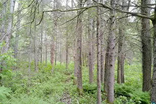 300 Caribou Trail, Lutsen, MN 55612 - Photo 48
