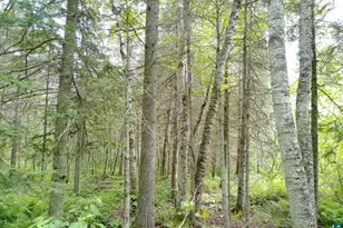 300 Caribou Trail, Lutsen, MN 55612 - Photo 52