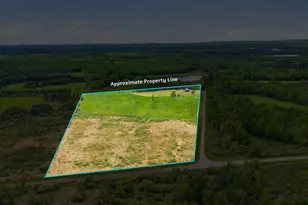 8932 Barnum Rd, Iron, MN 55751 - Photo 56