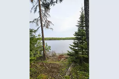 1268 Tom Lake Rd, Hovland, MN 55606 - Photo 56