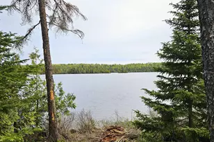 1268 Tom Lake Rd, Hovland, MN 55606 - Photo 56