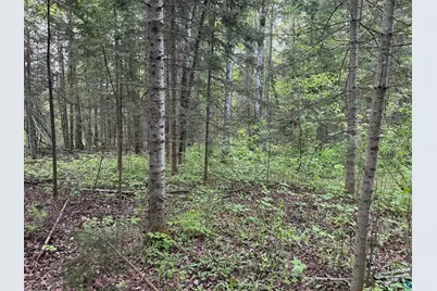 000 Jack Pine Rd, Cornucopia, WI 54827 - Photo 12