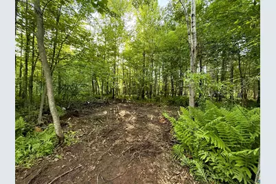 Tbd Frontier Ln, Sturgeon Lake, MN 55783 - Photo 1