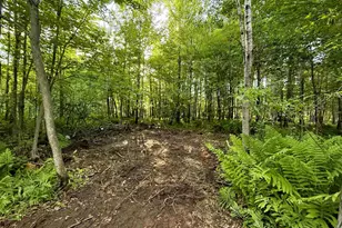 Tbd Frontier Ln, Sturgeon Lake, MN 55783 - Photo 1