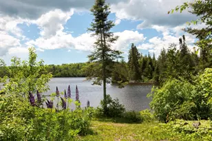 1339 Tom Lake Rd, Hovland, MN 55606 - Photo 74