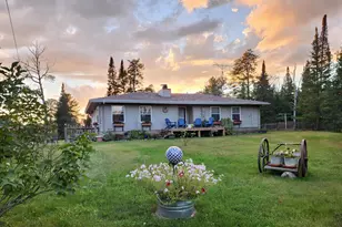 7079 Pike River Rd, Embarrass, MN 55732 - Photo 1