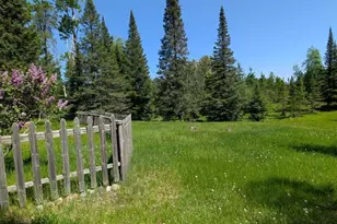 7079 Pike River Rd, Embarrass, MN 55732 - Photo 24