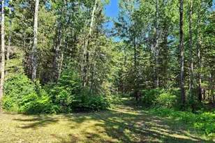 117 Tower Rd, Hovland, MN 55606 - Photo 40