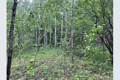 Xxx Rice Ave, Bayfield, WI 54814 - Photo 4