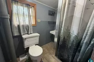357 Harvey St, Ely, MN 55731 - Photo 16