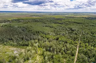 8680 Lambert Rd, Cotton, MN 55724 - Photo 10