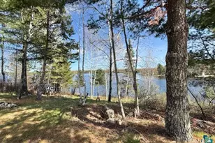 2275 Loon Point, Makinen, MN 55763 - Photo 24