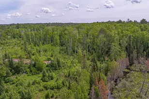 3806 Dorem Dr, Ely, MN 55731 - Photo 60