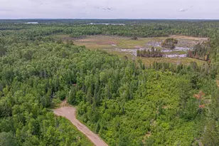 3806 Dorem Dr, Ely, MN 55731 - Photo 52