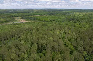 7280 Far North Rd, Buyck, MN 55772 - Photo 98
