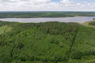 7280 Far North Rd, Buyck, MN 55772 - Photo 90