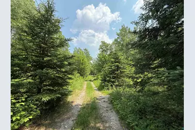 Tbd Samuelson Rd, Angora, MN 55703 - Photo 28