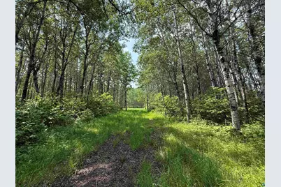 Tbd Samuelson Rd, Angora, MN 55703 - Photo 6