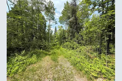 Tbd Samuelson Rd, Angora, MN 55703 - Photo 4
