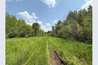 Tbd Samuelson Rd, Angora, MN 55703 - Photo 24