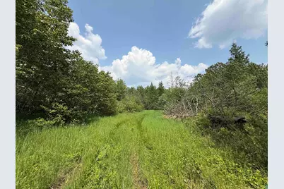 Tbd Samuelson Rd, Angora, MN 55703 - Photo 38