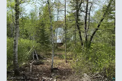 Tbd Moose Creek Tr, Ely, MN 55731 - Photo 10