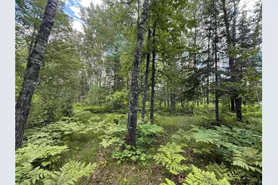 2647 Billings Rd, Hibbing, MN 55746 - Photo 28