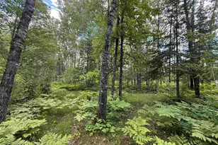 2647 Billings Rd, Hibbing, MN 55746 - Photo 28