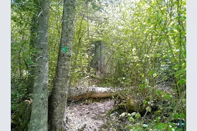 54 Caps Tr, Lutsen, MN 55612 - Photo 42
