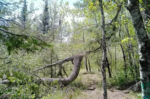 54 Caps Trail, Lutsen, MN 55612 - Photo 44