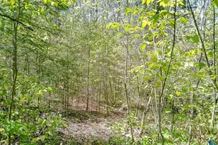 54 Caps Trail, Lutsen, MN 55612 - Photo 48
