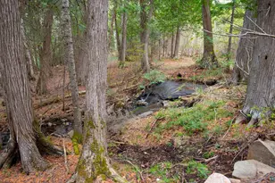 190 N Loon Lake Rd, Grand Marais, MN 55604 - Photo 44