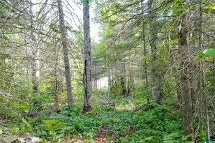 6975 Cramer Rd, Finland, MN 55603 - Photo 40