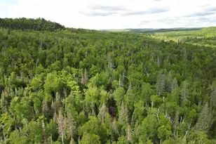 6975 Cramer Rd, Finland, MN 55603 - Photo 42